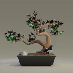 Bonsai #1261