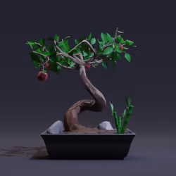 Bonsai #2410
