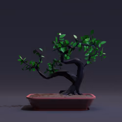 Bonsai #1923