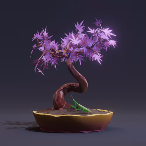 Bonsai #251