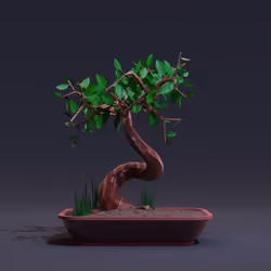 Bonsai #6752