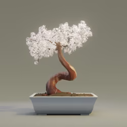 Bonsai #4685