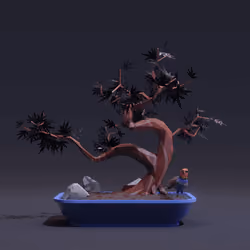 Bonsai #5563