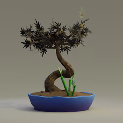 Bonsai #4173