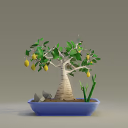 Bonsai #721