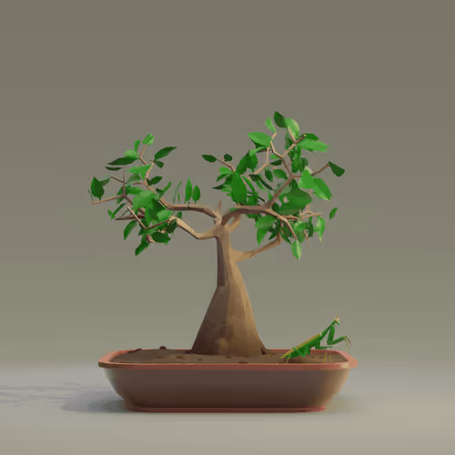 Bonsai Zenft