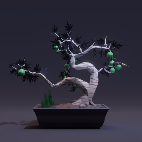 Bonsai #6500