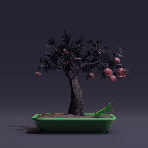 Bonsai Zenft