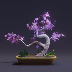 Bonsai #648