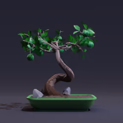 Bonsai #245