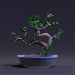 Bonsai #8782