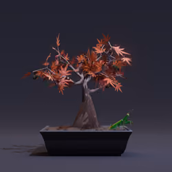 Bonsai #5420