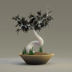 Bonsai #4567