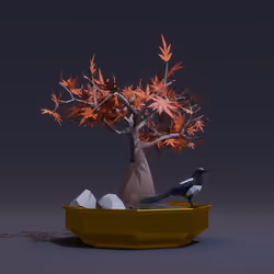 Bonsai #1273
