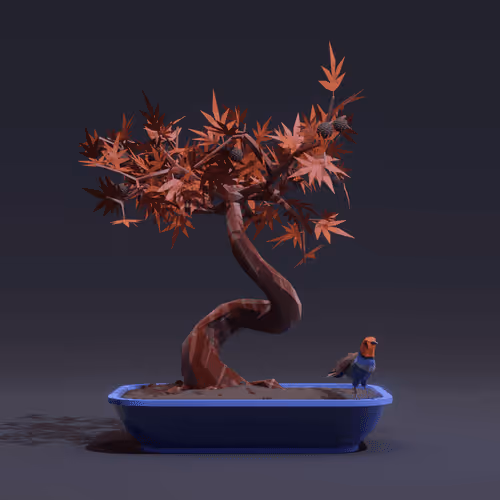 Bonsai Zenft