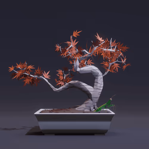 Bonsai Zenft