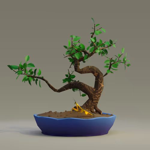 Bonsai Zenft