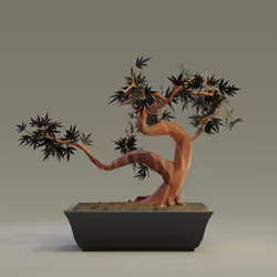 Bonsai #7774