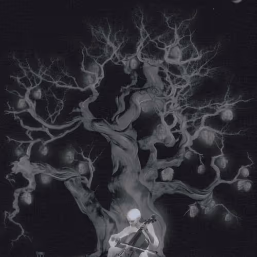 Nocturne Dream op.9 n.2