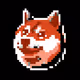 DOGE 404