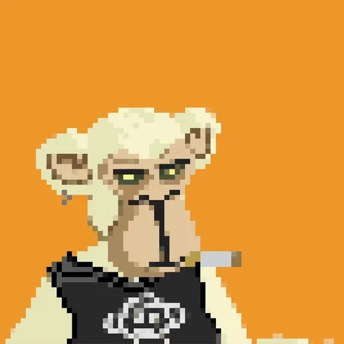 Pixape Summoners