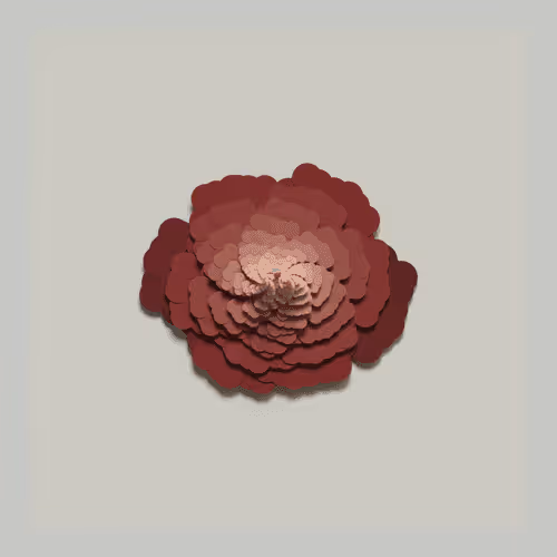 Animatedoctogarden