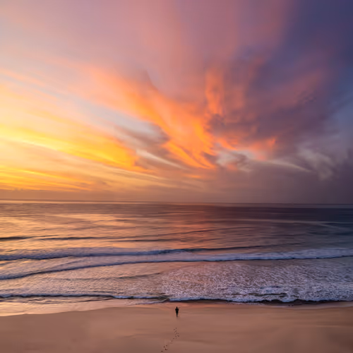 Timmboslice 1/1 Aerial Art