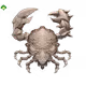 Crab #3192