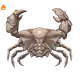 5602