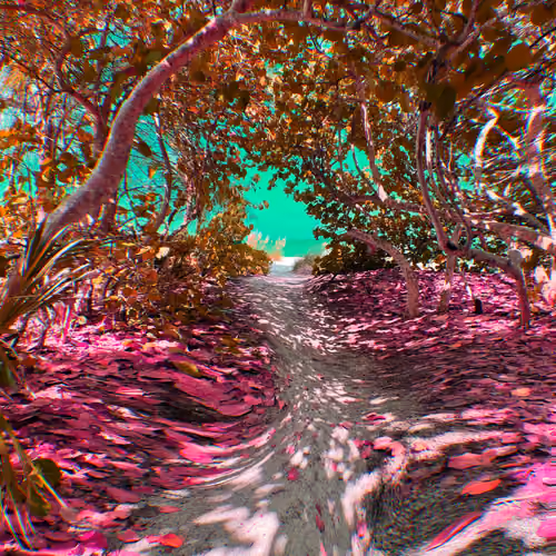 Bonita Beach