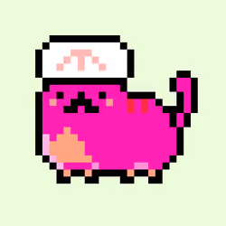 Kitty #1697