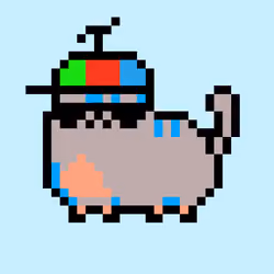 Kitty #31