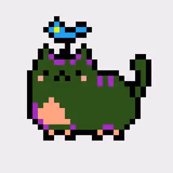 Kitty #1464