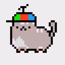 Kitty #1846