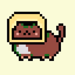 Kitty #1417
