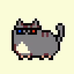 Kitty #897
