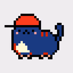 Kitty #1641