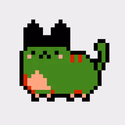 Kitty #1278