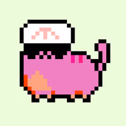 Kitty #24