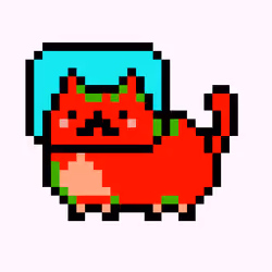 Kitty #1162