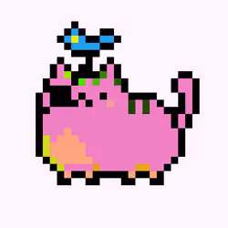 Kitty #1639