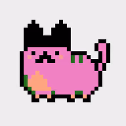 Kitty #390
