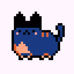 Kitty #811
