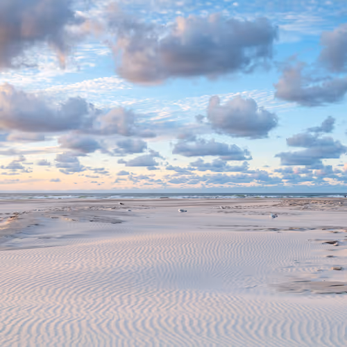 North Sea 3