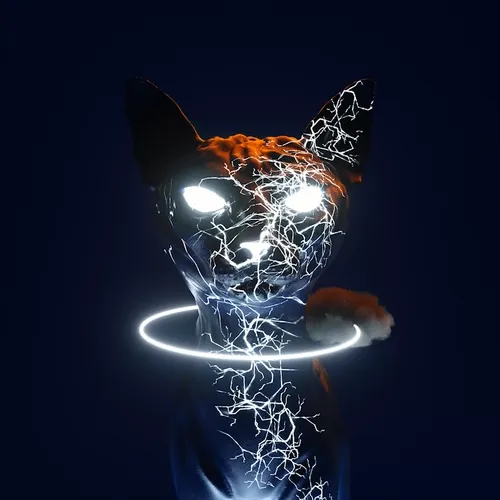 Digital Pet Collection