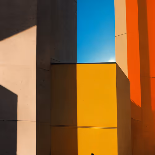 Believer Special Edition