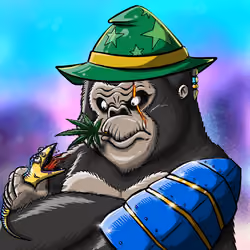 Kongdo #64