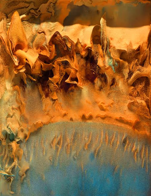 Item #6700050005 Media