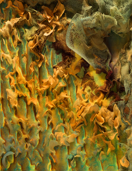 Item #6700040026 Media