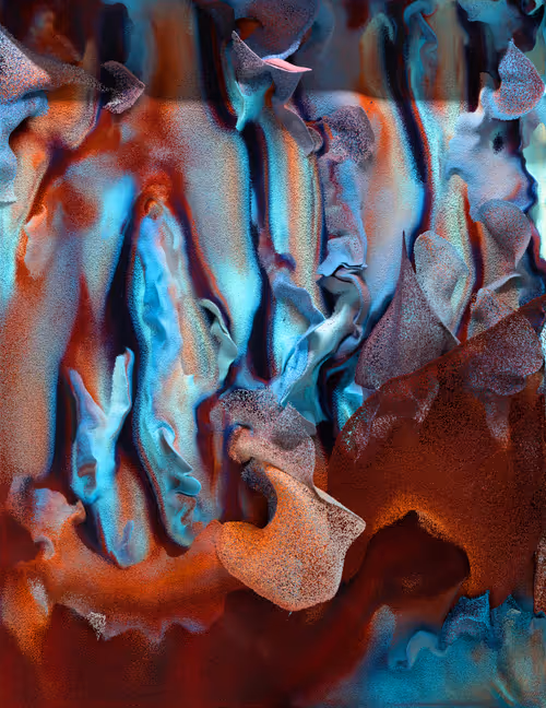 Item #6700060010 Media